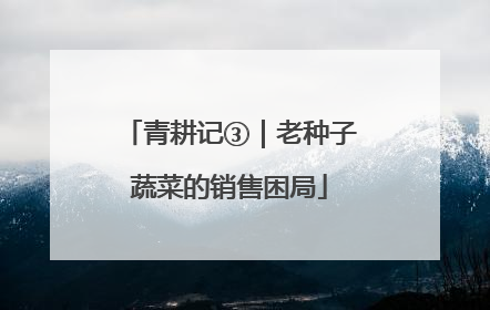 青耕记③｜老种子蔬菜的销售困局